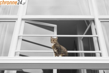 Kraśnik Siatka na balkon z małym oczkiem - na zabezpieczenie balkonu Sklep Kraśnik